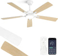 ZMISHIBO Ventilateur de plafond avec lumi¨¨re 132 cm, 5 pales, LED 3CCT dimmable, Plafonnier ventilateur, application et t¨¦l¨¦commande, R¨¦versible